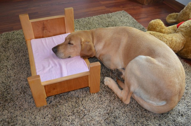 The Wellness Center - an Update. 