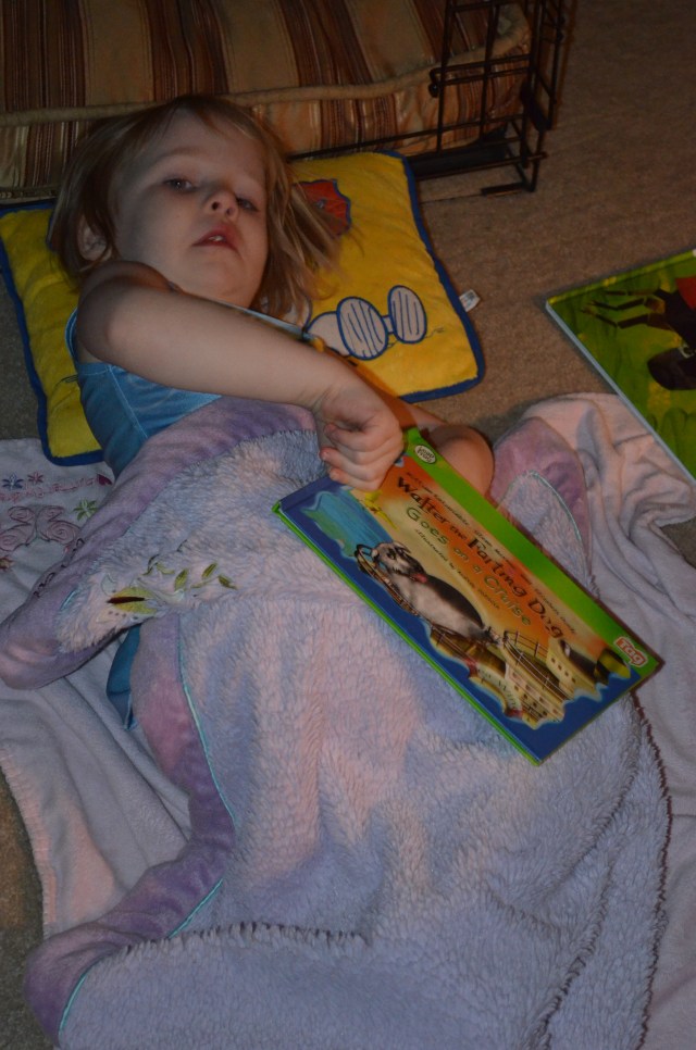 She's picketing. On the floor in front of Rudy's crate. She's smart as shit. 